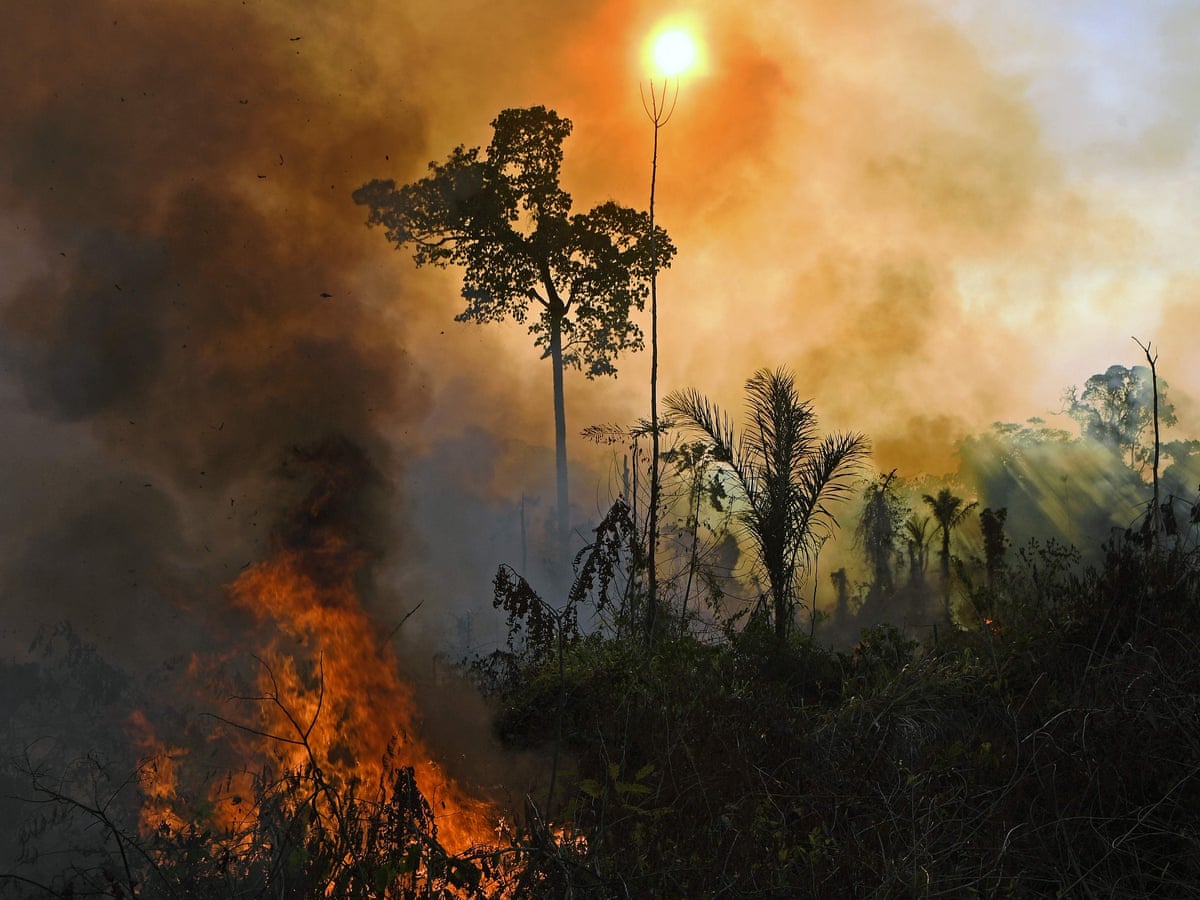 Climate change might cause a mass extinction event, say scientists