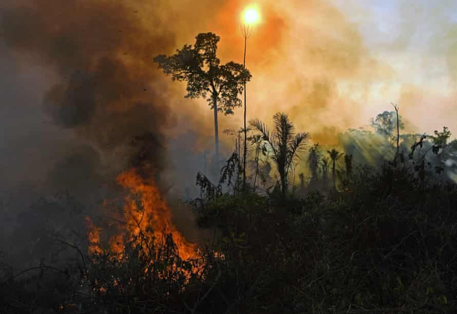 Smoke and flames rise from an illegally lit fire in the Amazon rainforest reserve, south of Novo Progresso in Para state, Brazil. 
