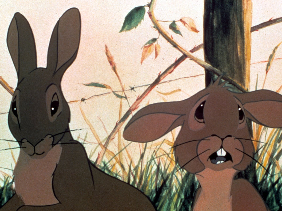 On The Real Watership Down Rabbits Are Hard To Come By Wildlife The Guardian 2022 Watership Down Rabbit Design