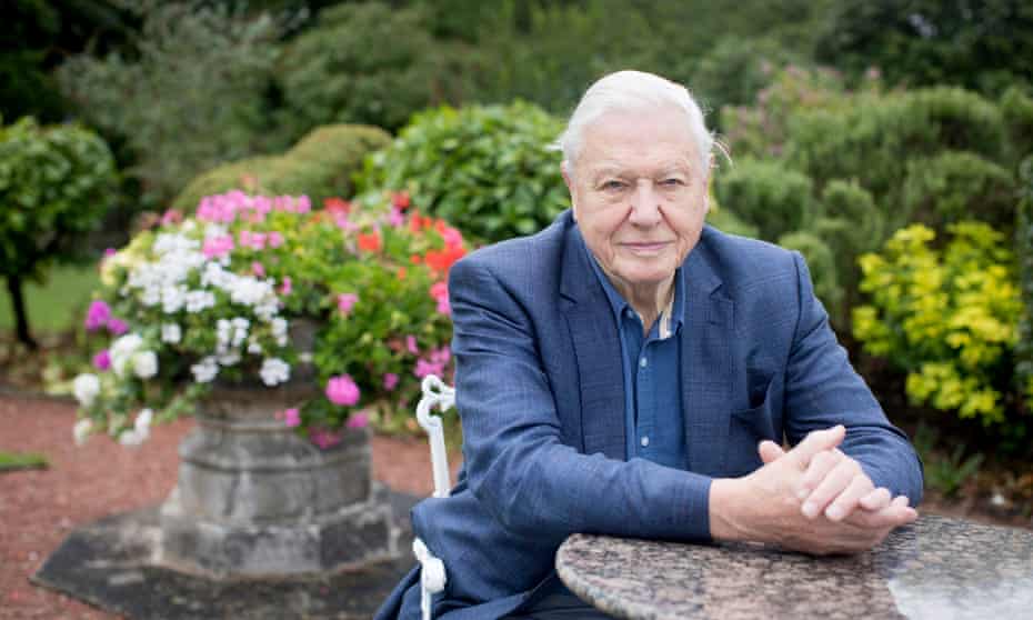 David Attenborough on the scourge of the oceans: 'I remember being told