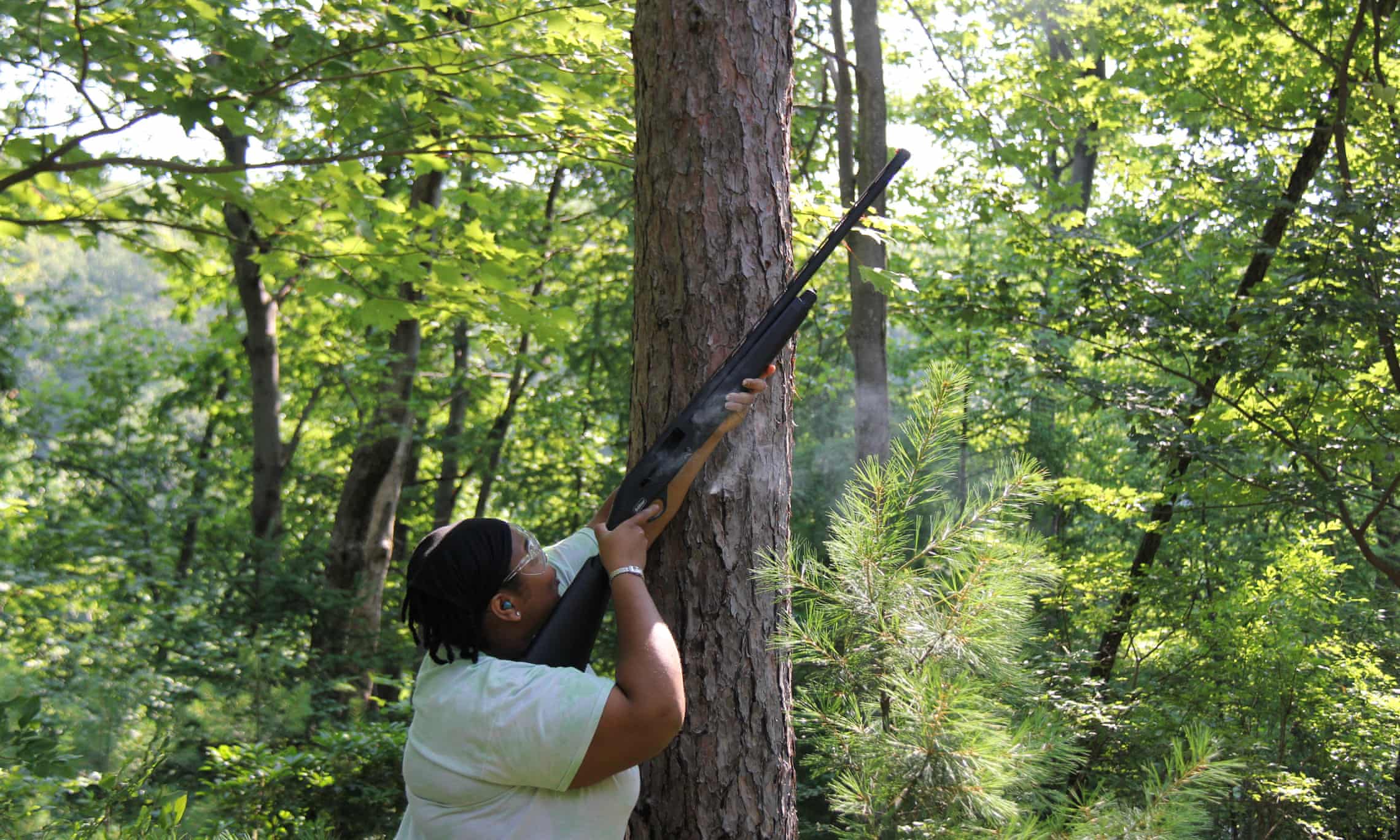 Angelica Patterson: ‘A shotgun is an efficient, cheap and effective way to collect the high-up leaves.’ Angelica Patterson: ‘A shotgun is an efficient, cheap and effective way to collect the high-up leaves.’