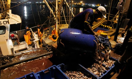 Fishermen unload anchovies