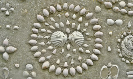 Shell Circle Design Your pictures: share your photos on the theme of 'circle' | Photography ...