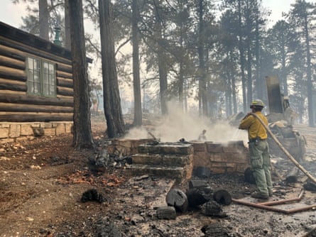 A firefighter stands next to smoldering debris in a forest