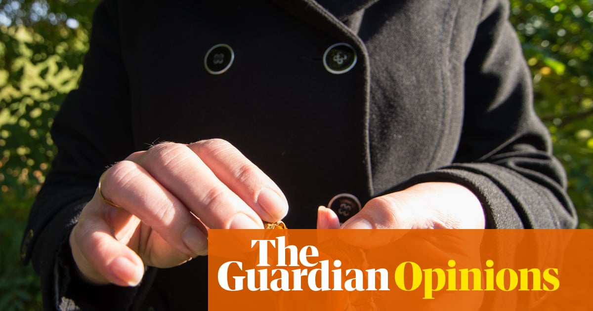 Digested week: Hit or miss? Conker unboxing craze leaves me baffled | Lucy Mangan