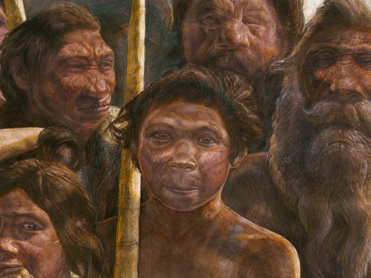 Human Evolution Hominid Ancient Humans