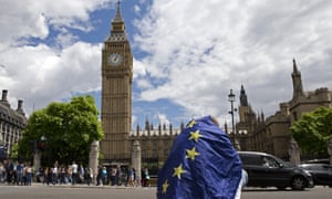 Demonstrator in EU flag