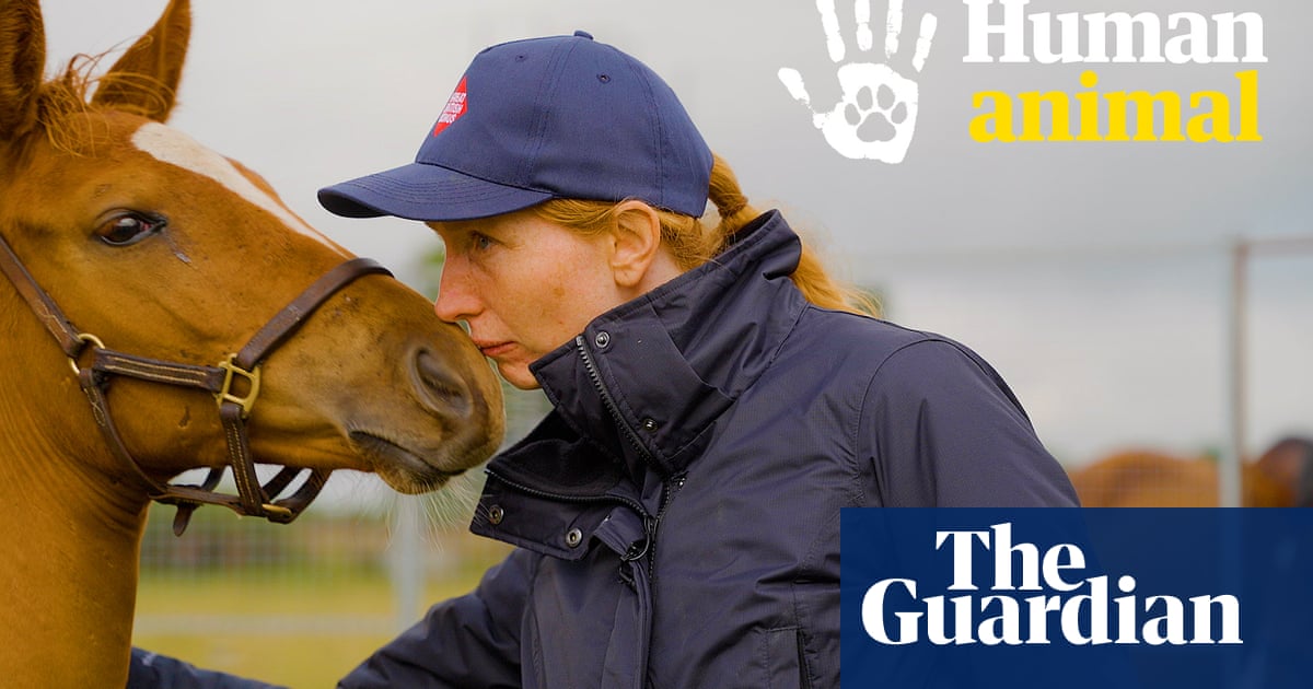 Can horse racing clean up its image? 'Every single death is regrettable' – video