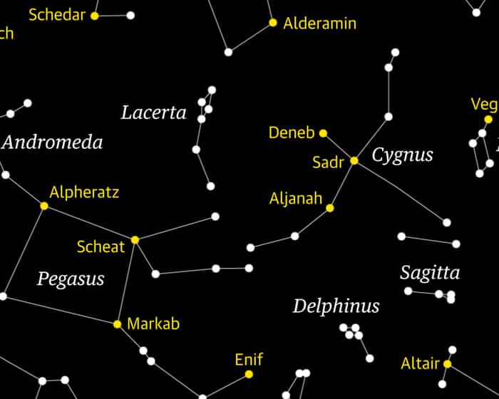 Starwatch: can you spot Lacerta the lizard crawling across the night sky?
