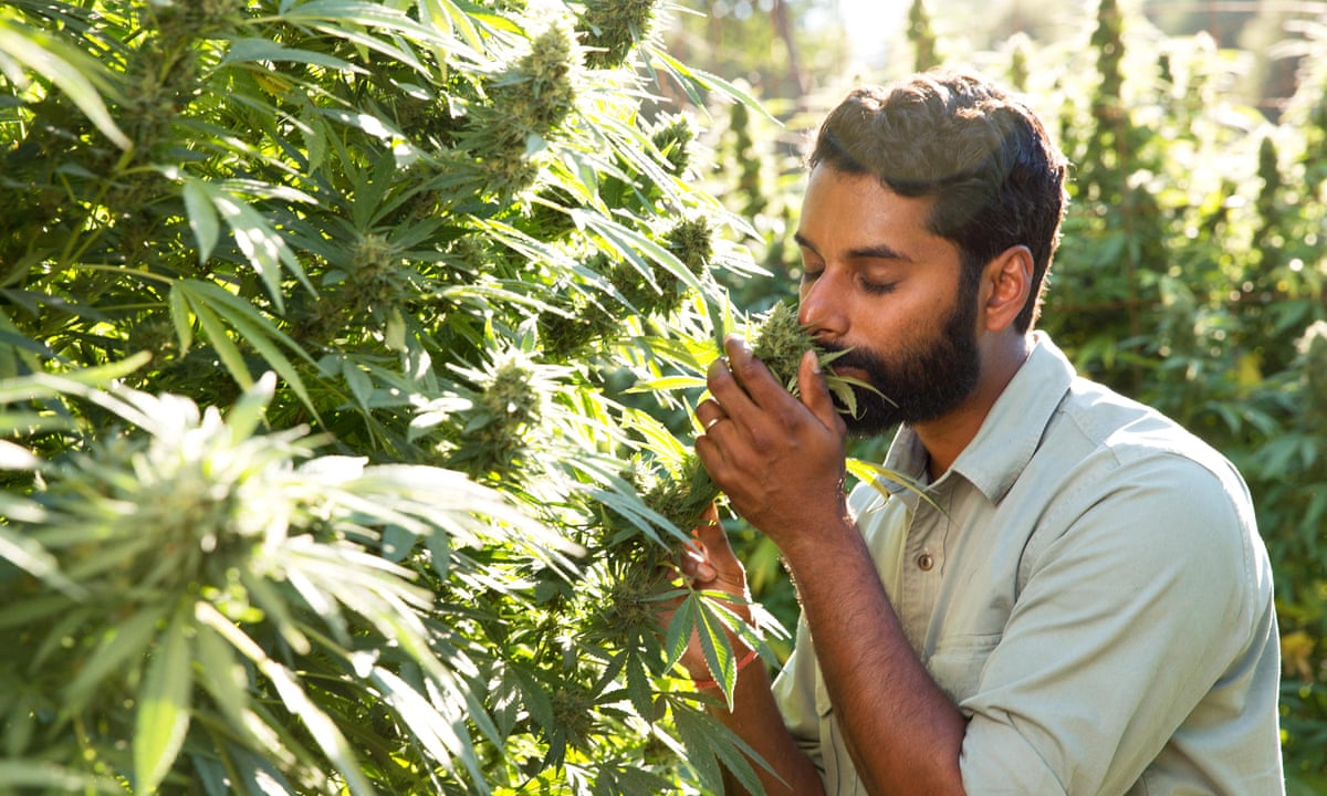 tv in cable jobs australia mixed cable style CNN bag a foray into is Viceland: TV Vice's tv in cable jobs australia mixed cable style CNN bag a foray into is Viceland: TV Vice's