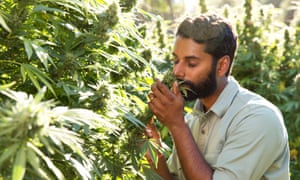 Weediquette