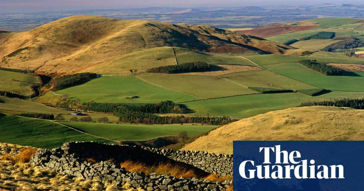 National parks in England and Wales failing on biodiversity, say campaigners | National parks | The Guardian