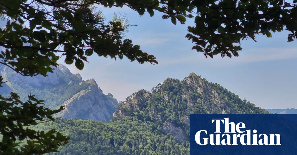 We’re going on a Bosnian bear hunt … in Europe’s oldest forest | Bosnia and Herzegovina holidays We’re going on a Bosnian bear hunt … in Europe’s oldest forest | Bosnia and Herzegovina holidays