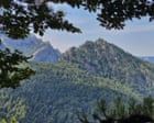 We’re going on a Bosnian bear hunt … in Europe’s oldest forest