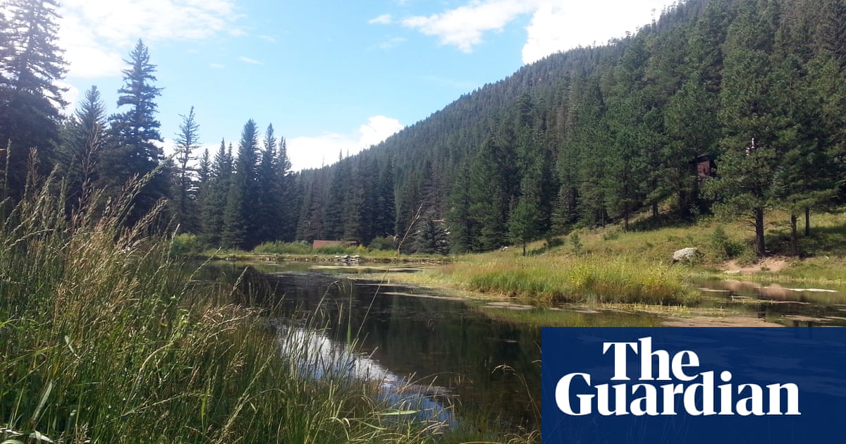 New Mexico’s rivers are most threatened waterways in US, report finds | Rivers