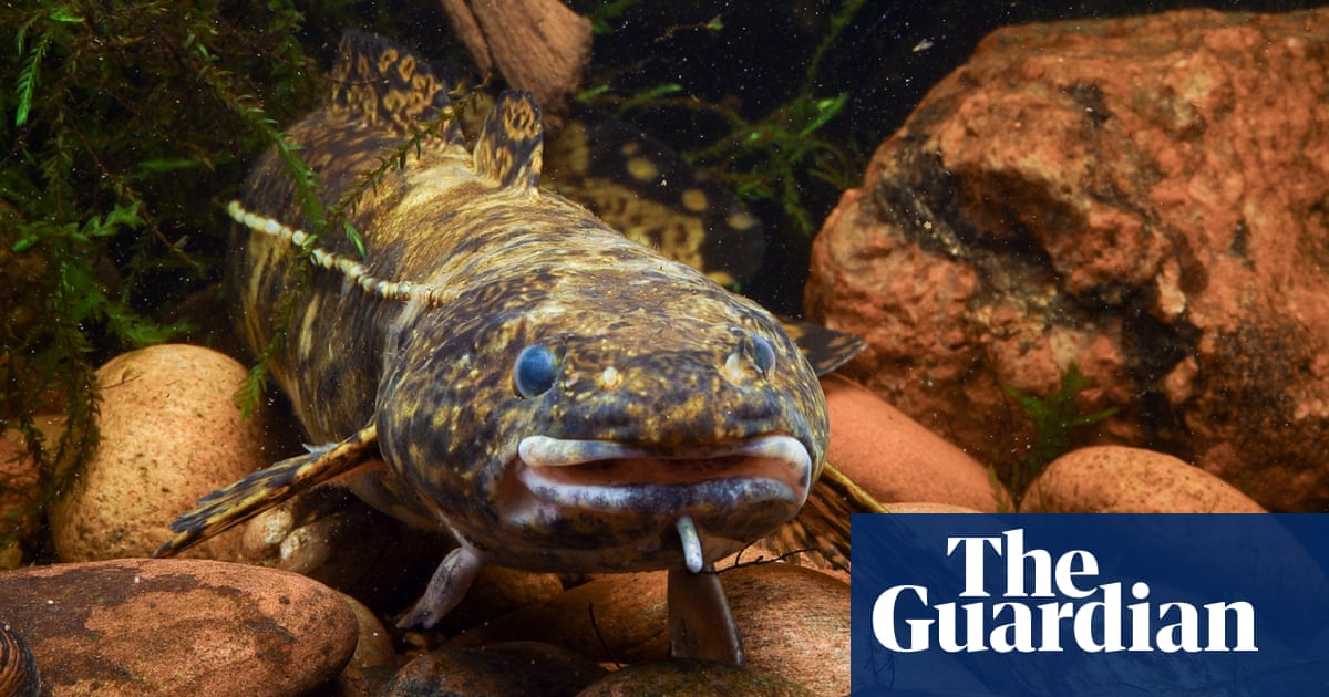 5315.jpg?width=1200&height=630&quality=8