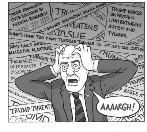 David Squires on … Fifa’s peace prize and Donald Trump’s eligibility, panel 7