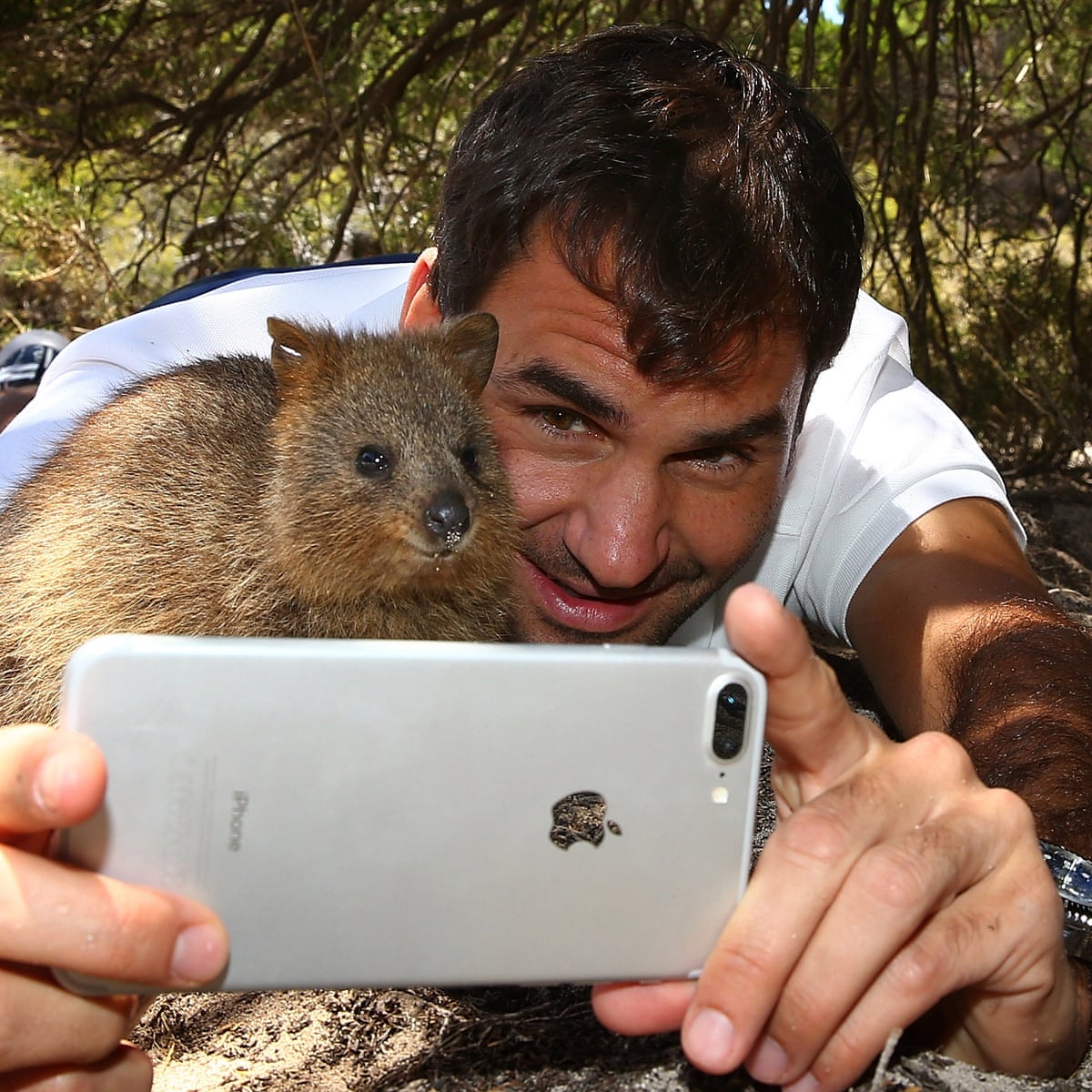 It S Scary Wildlife Selfies Harming Animals Experts Warn Wildlife The Guardian