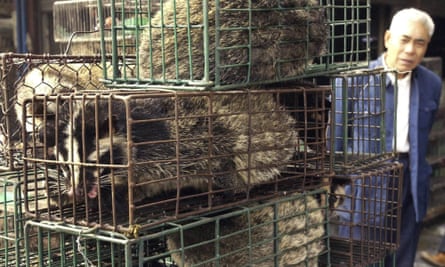 Caged civet cats in a wildlife market in Guangzhou, China.