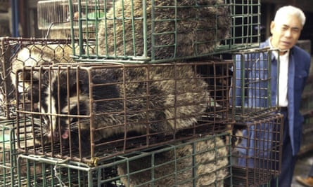 Caged civet cats in a wildlife market in Guangzhou, China. 
