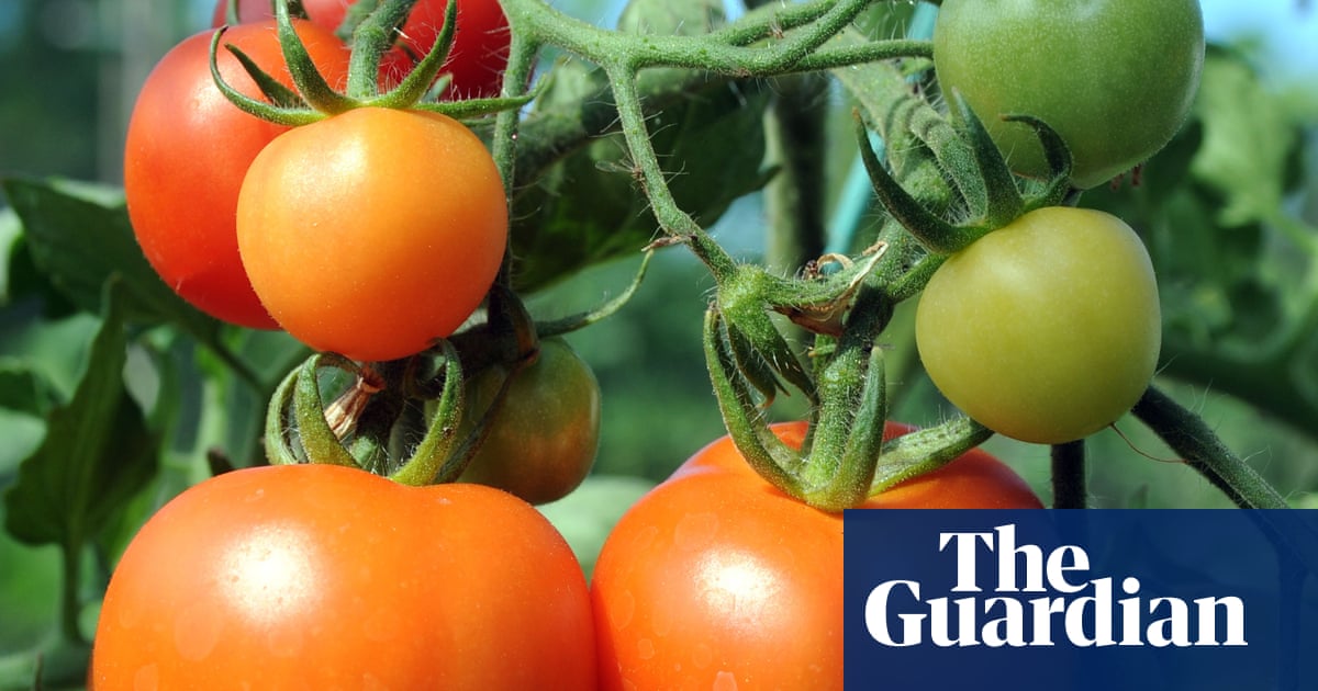 gene editing could create