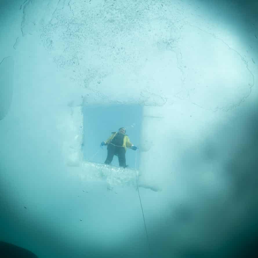 Uma janela preciosa para o nosso mundo.