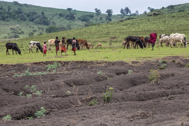 Soil erosion in Maasai heartlands in Tanzania. 