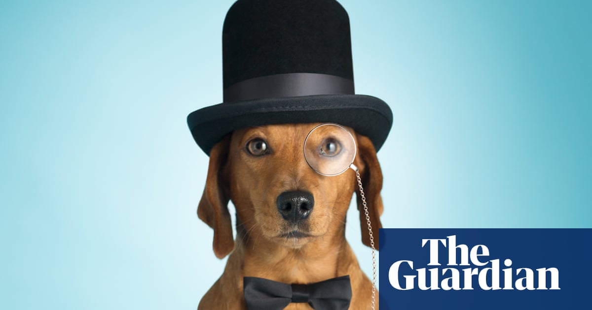 The dos and don'ts of good petiquette: four cardinal rules for dog owners