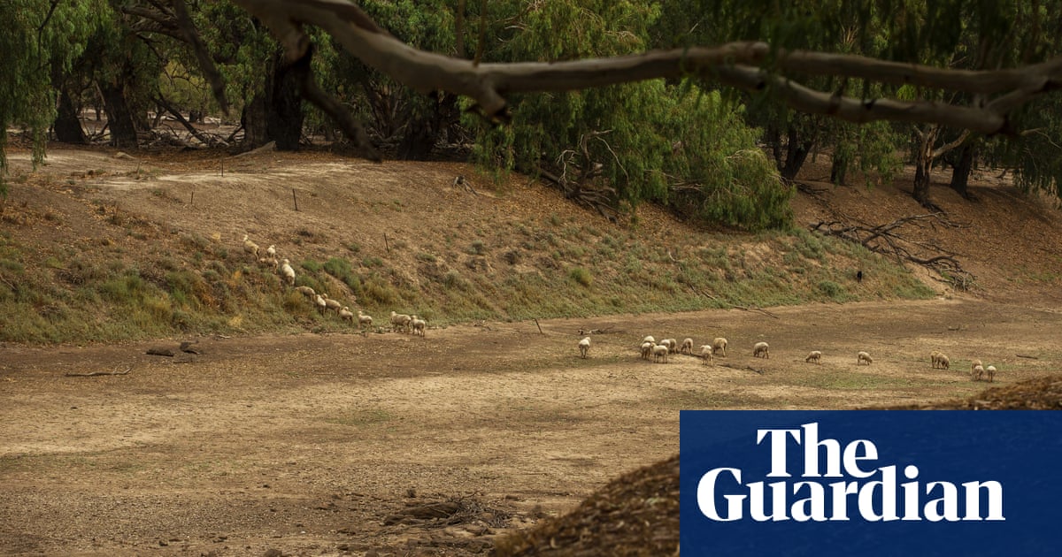 Former NSW water minister defends exclusion of driest years from sustainable water calculations - The Guardian