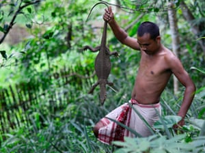 A Tiwa hunter holds a monitor lizard which he caught by using traps in West Karbi Anglong district of Assam state, India. During this time of the season, Tiwa tribesmen use different types of indigenously made traps.