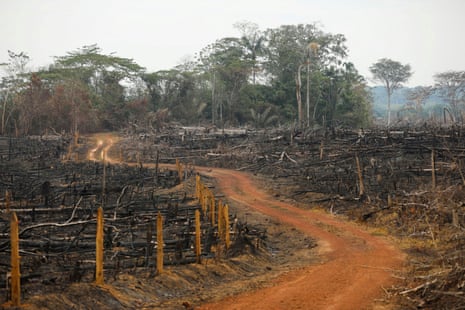 An illegal road made during deforestation in Caquetá, Colombia, in 2021.