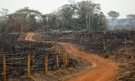 An illegal road made during deforestation in Caquetá, Colombia, in 2021.
