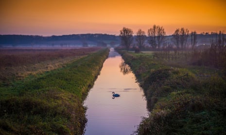Somerset Levels at sunset