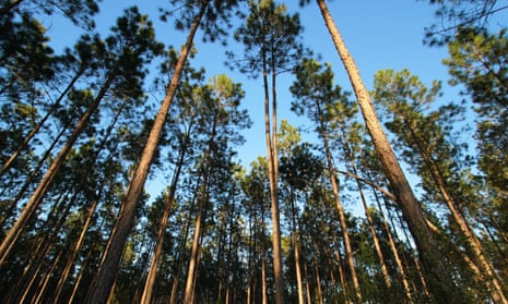 Brunwick Forest in North Carolina