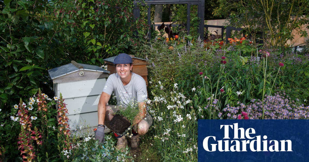 Chelsea flower show: a garden with a green message for the green-fingered