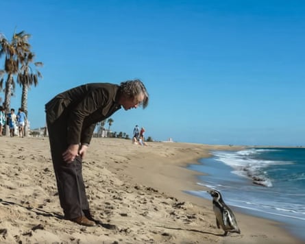 Coogan in The Penguin Lessons.