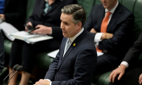 The health minister Mark Butler.