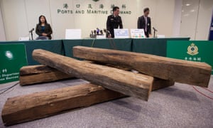 Hong Kong Customs officers with a seized shipment of endangered rosewood logs. More than 7,000 species of wild animals and plants are threatened by illegal trade.