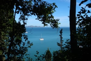 Where the rainforest meets the sea on the track from Sawmill beach to Dugong beach.