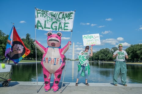 Anti-Trump protesters, identifying themselves as ''Team Algae'' held signs at the Lincoln Memorial Reflecting Pool on Sunday.