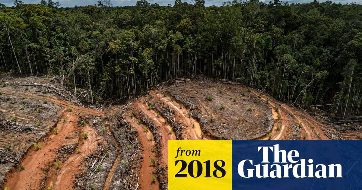 Stop biodiversity loss or we could face our own extinction, warns UN