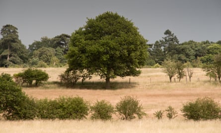 View over the Somerleyton estate