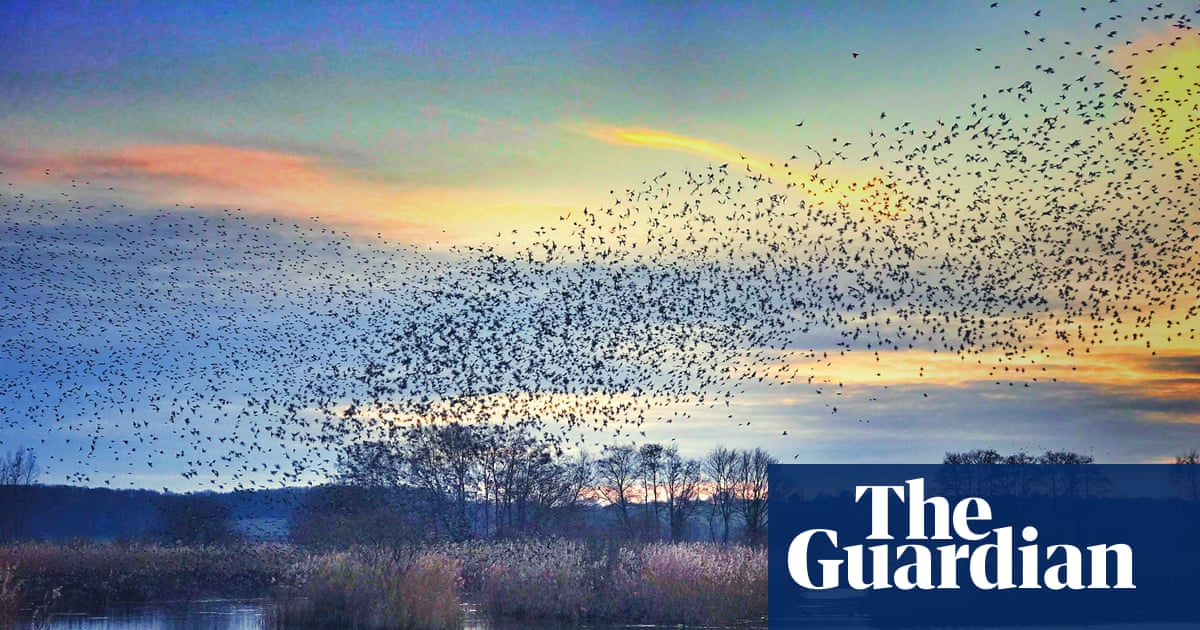 ‘You can’t beat a wintry walk on a crisp, bright day’: readers’ favourite UK winter activities