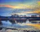 Le attività invernali più amate in UK: rockpooling, stelle e murmuration di starnuti