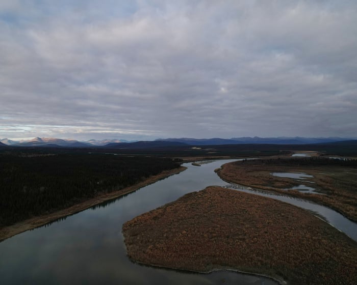 Trump orders approval of 211-mile mining road through Alaska wilderness