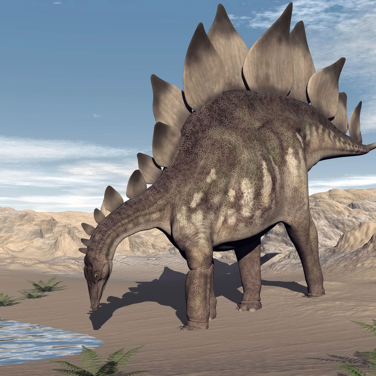 the five dinosaurs that once roamed