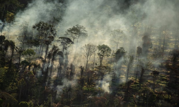 JBS said it was committed to ending deforestation throughout its supply chain.