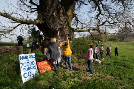 Residents gathered at the tree known as Darwin’s oak.