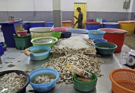 Shrimp are left on an abandoned peeling table as a Thai soldier walks past during a raid on the shrimp shed in Samut Sakhon, Thailand, 9 November 2015