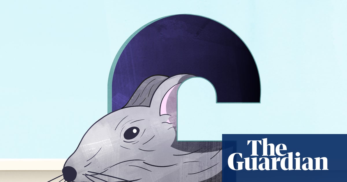 Rats! How to banish rodents, bedbugs and other pests from your home